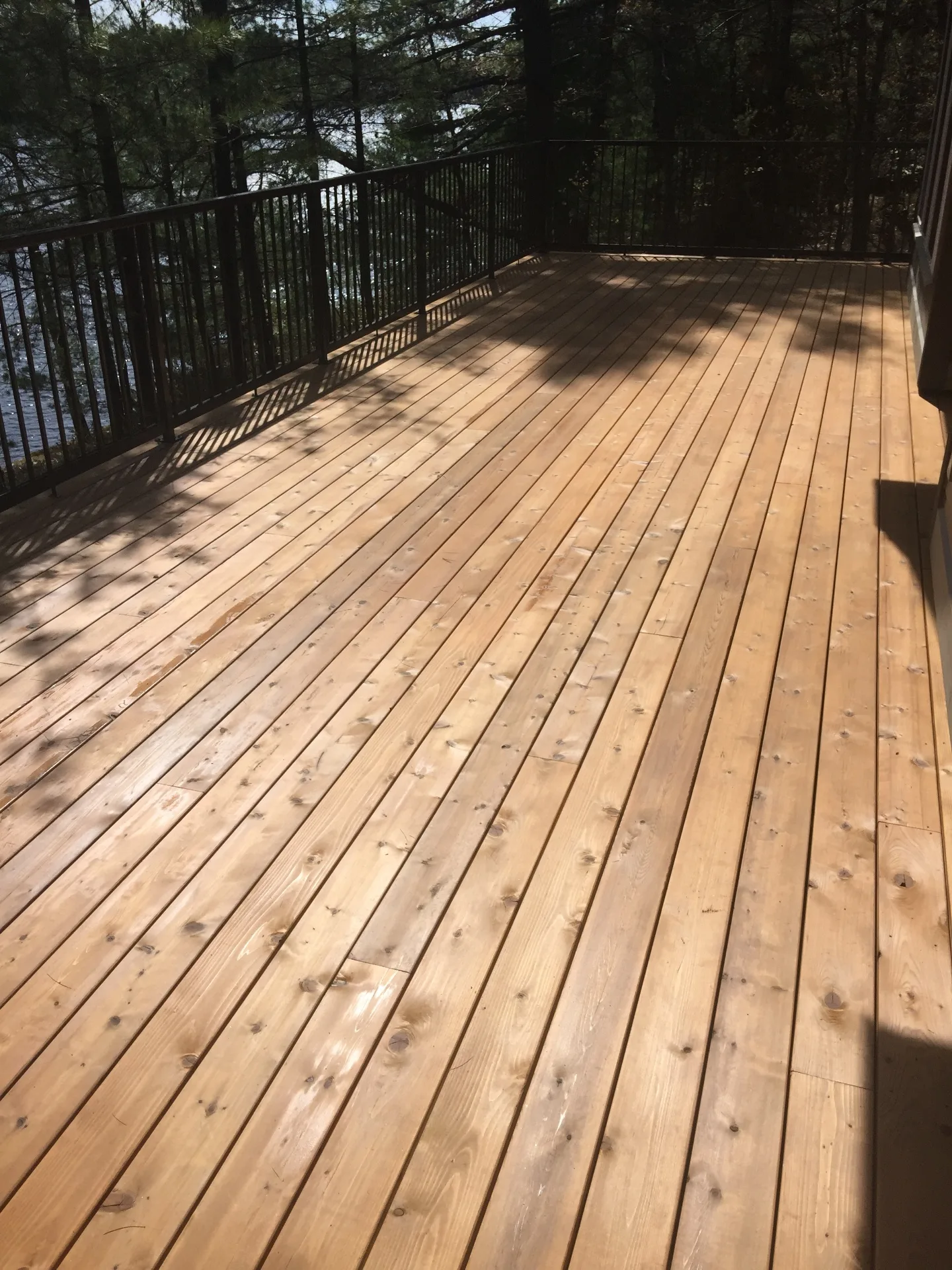 Deck & Fence Staining